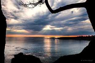 Mendocino Bay evening-9914